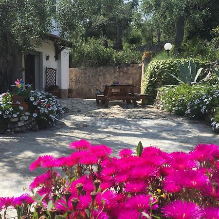 Azienda Agricola B&B Macchiaria ヴィエステ エクステリア 写真