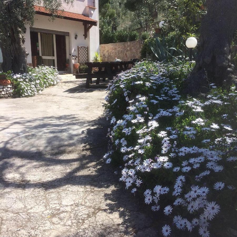 Azienda Agricola B&B Macchiaria ヴィエステ エクステリア 写真